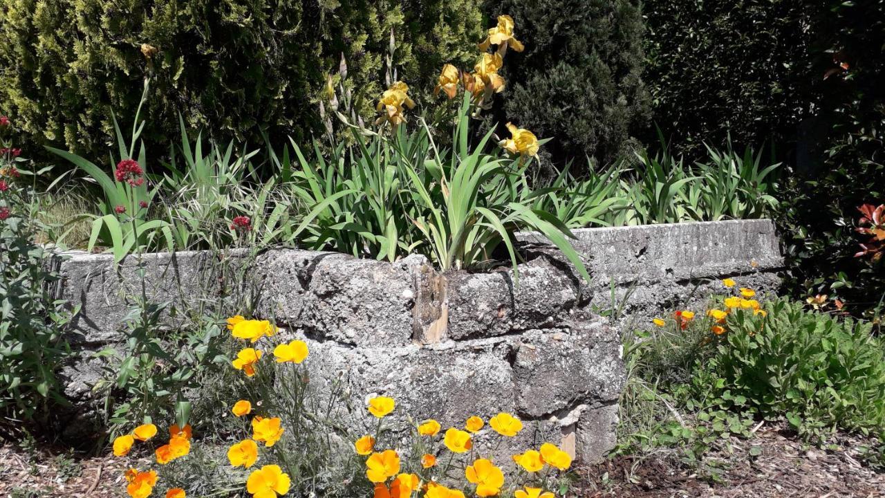 Golf Club D'Uzes Bed & Breakfast Luaran gambar